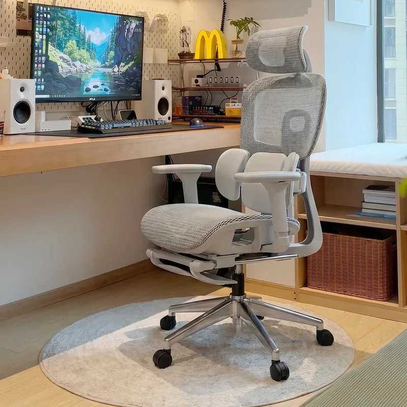 Ergonomic Office Chair with Lu - Home Office Ergonomics recension och pris