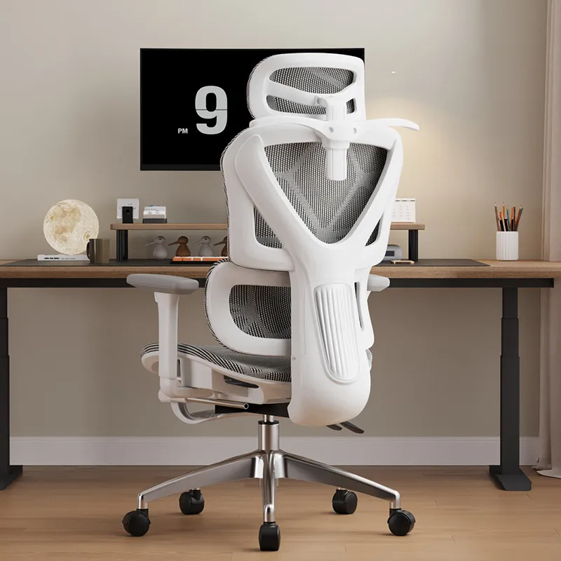 Ergonomic Computer Chair E-spo - Home Office Ergonomics recension och pris