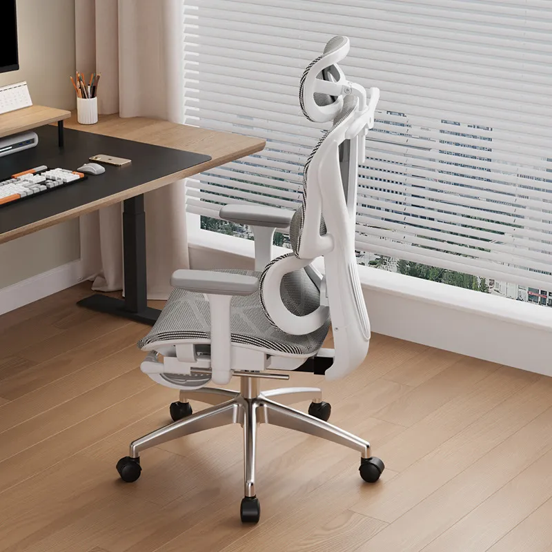 Ergonomic Computer Chair E-spo - Home Office Ergonomics recension och pris