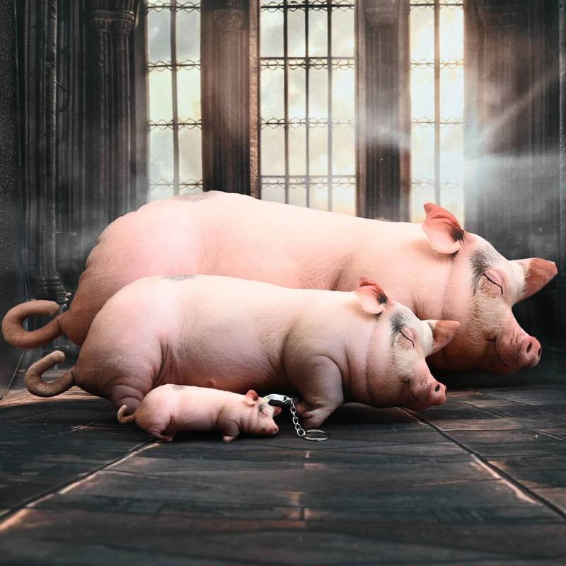 Kawaii Realistic Sleeping Pig  - Home Office Sofa recension och pris