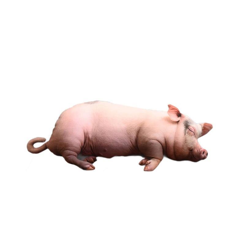 Kawaii Realistic Sleeping Pig  - Home Office Sofa recension och pris