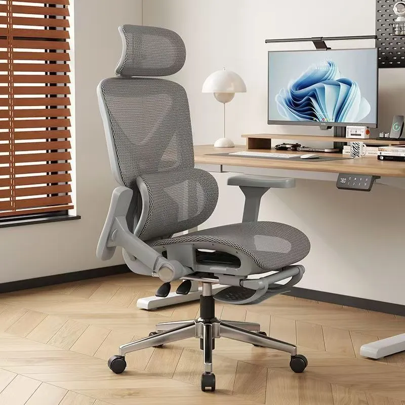 Ergonomic Office Chair with Lu - Home Office Ergonomics recension och pris