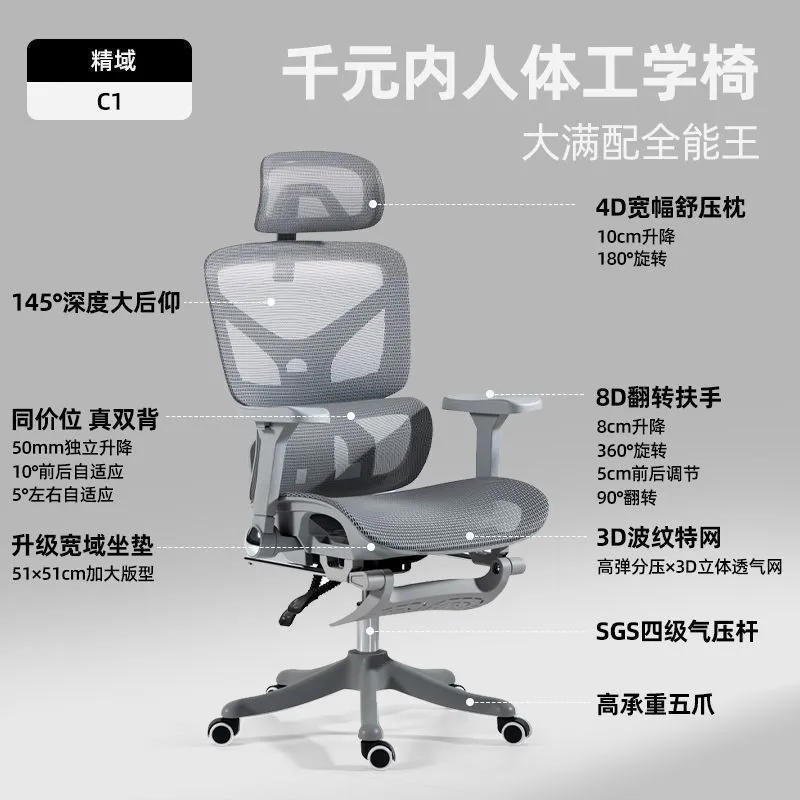 Ergonomic Office Chair with Lu - Home Office Ergonomics recension och pris